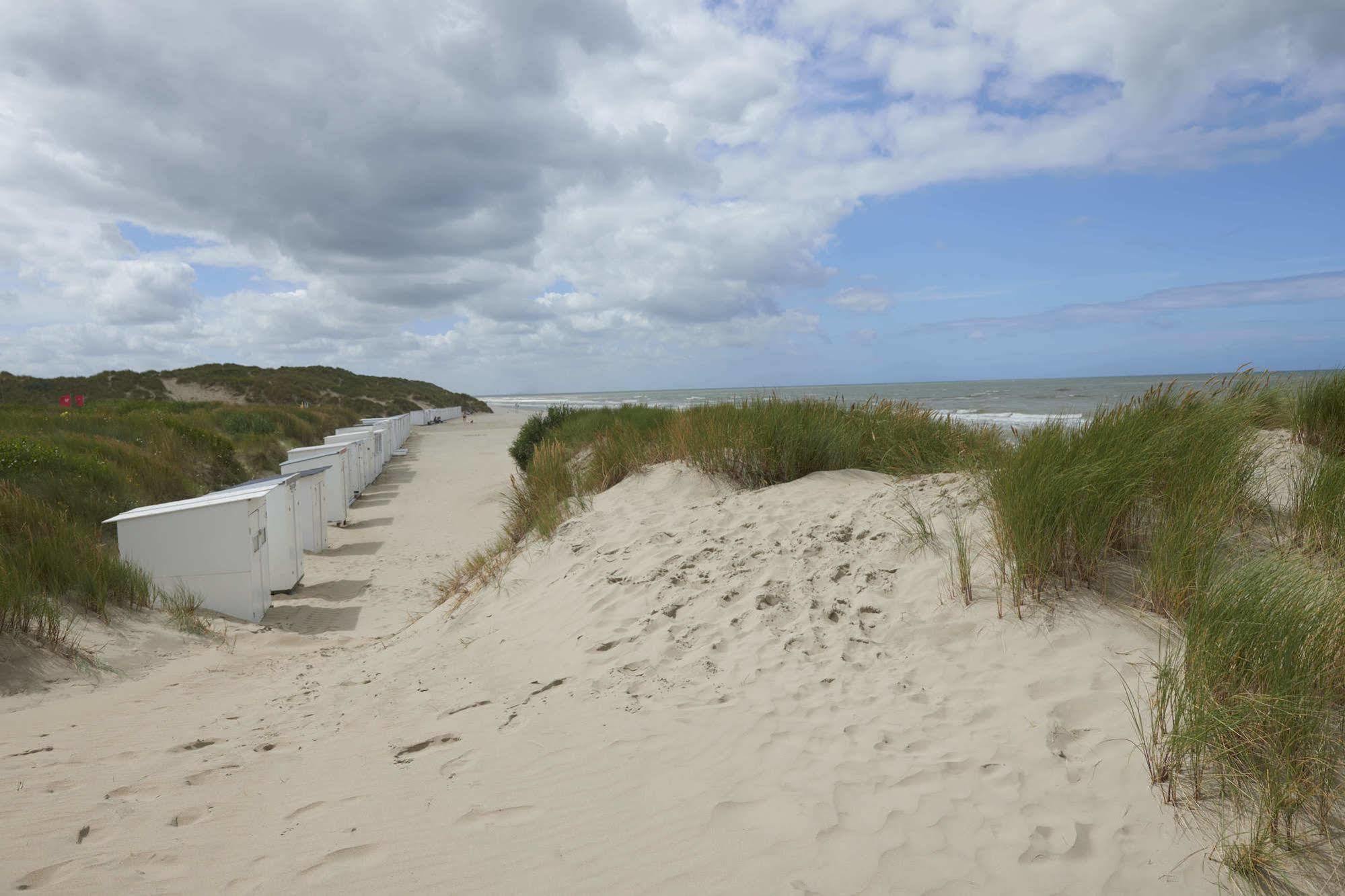 Zeepark Haerendycke Villa Wenduine Bagian luar foto